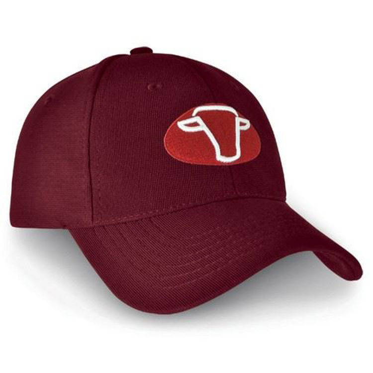 Picture of Denver Cap