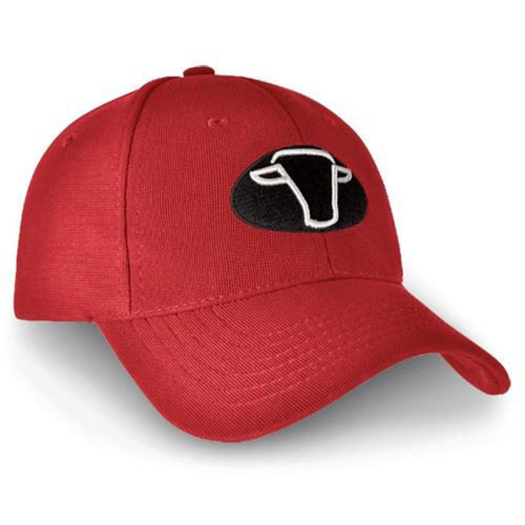 Picture of Denver Cap