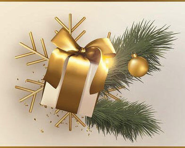 Picture for category Premium Christmas Gifts