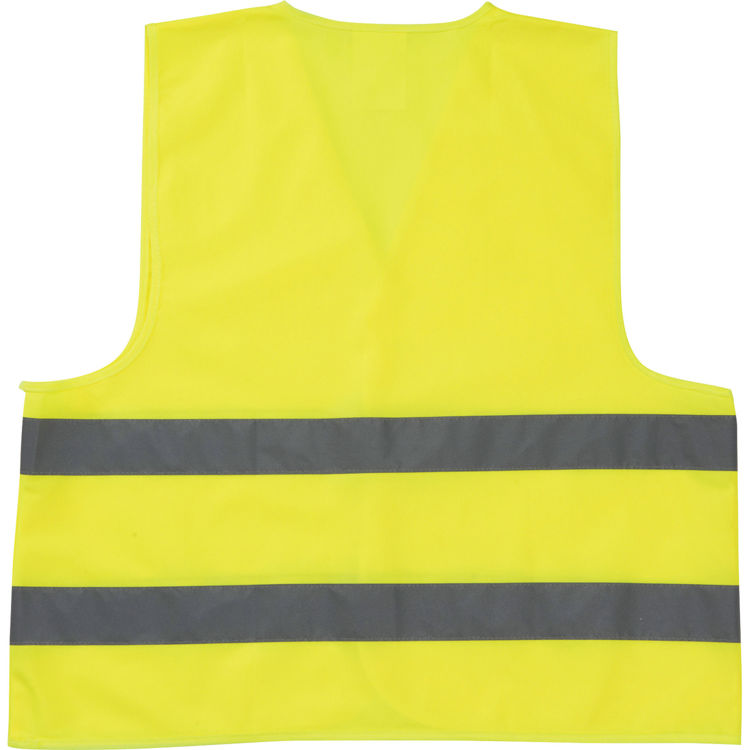 Picture of The Safety Vest