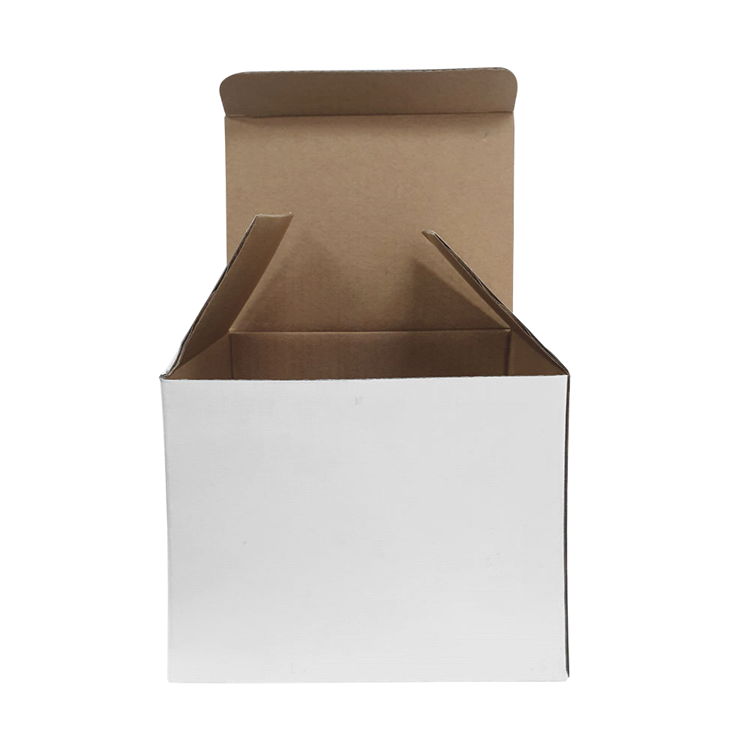 Picture of Pack Single Standard Box - White