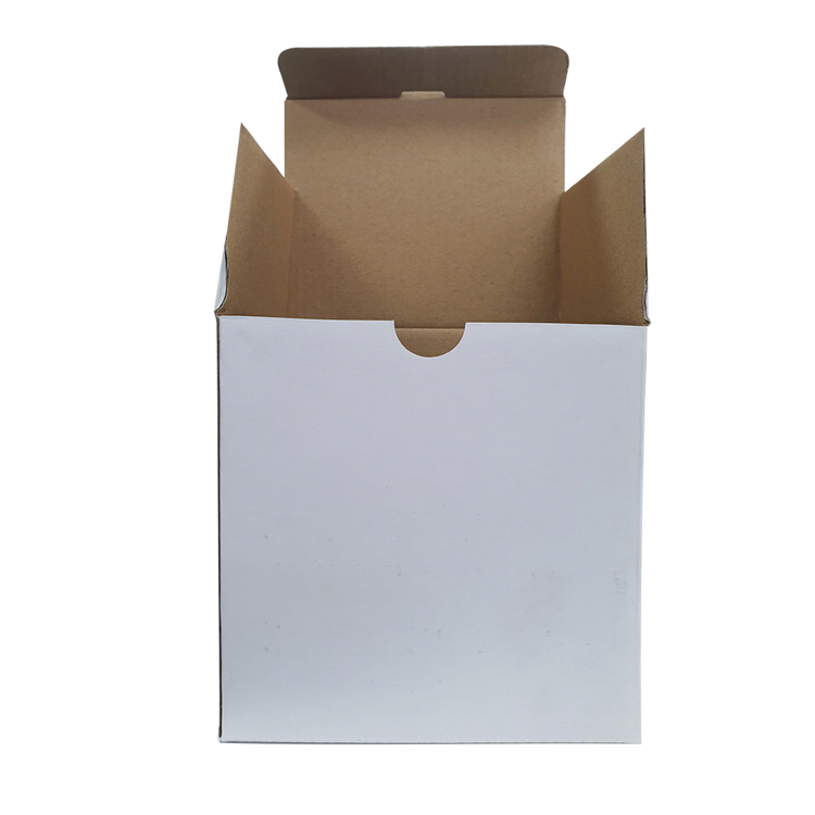 Picture of Pack Single Tall Box - White