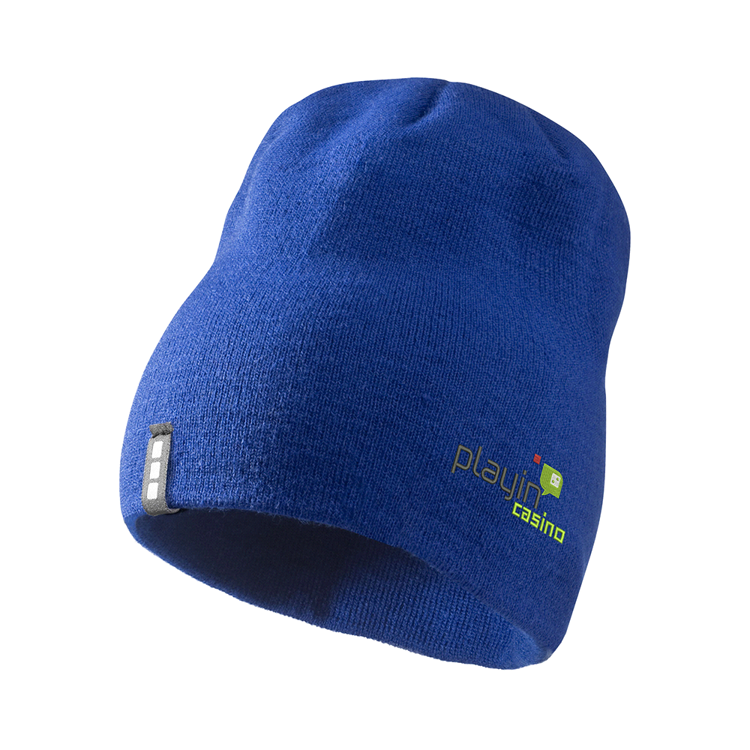 Picture of Level Beanie