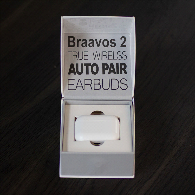 Picture of Braavos 2