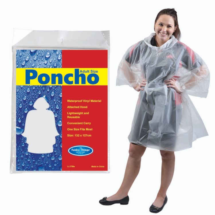 Picture of Hurricane Poncho