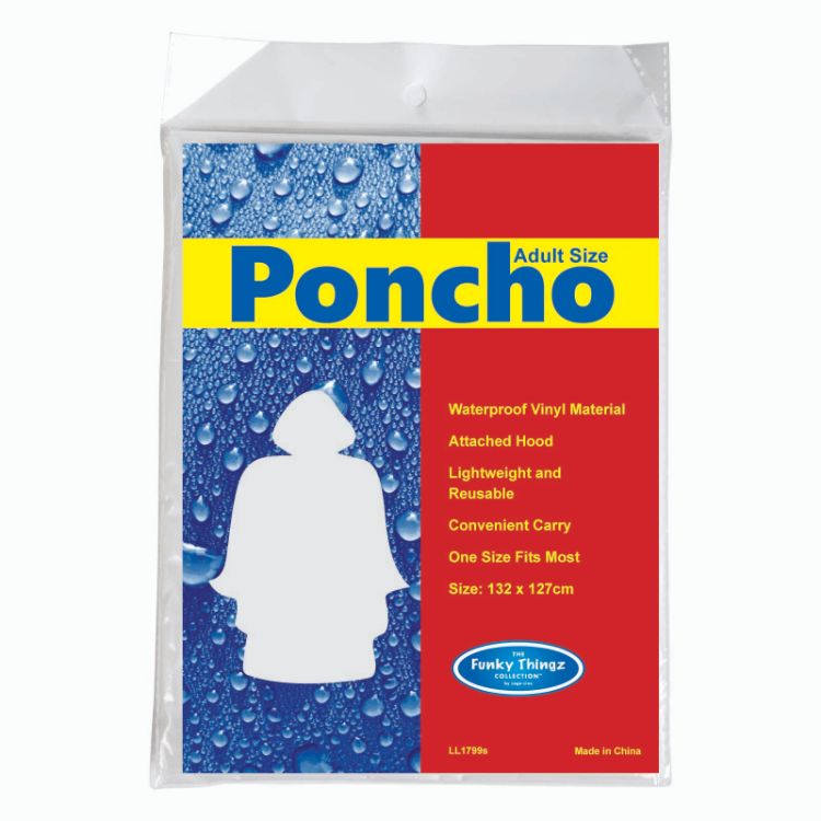 Picture of Hurricane Poncho