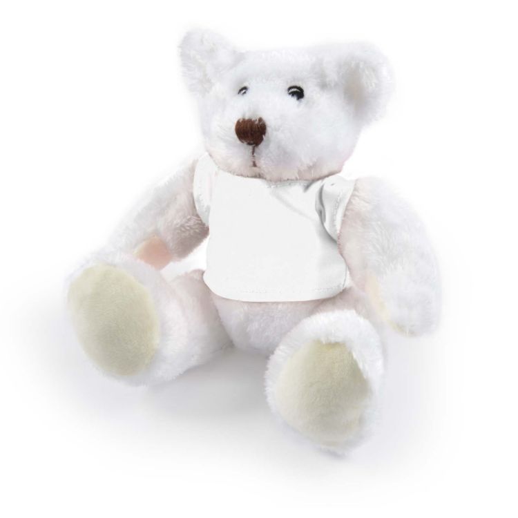 Picture of Frosty Plush Teddy Bear