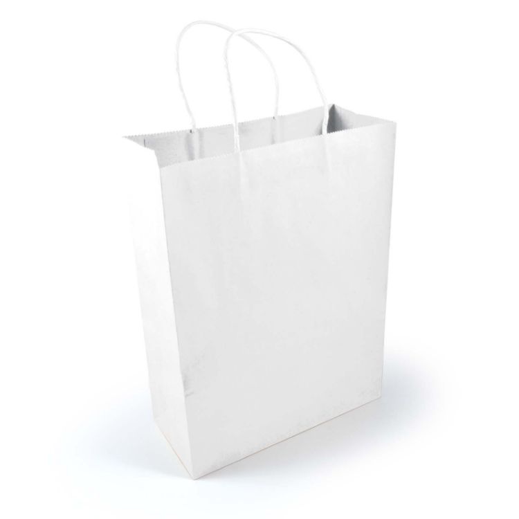 Picture of Express Paper Bag Large