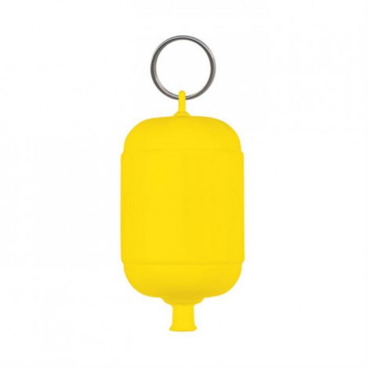 Picture of Floating Key Ring