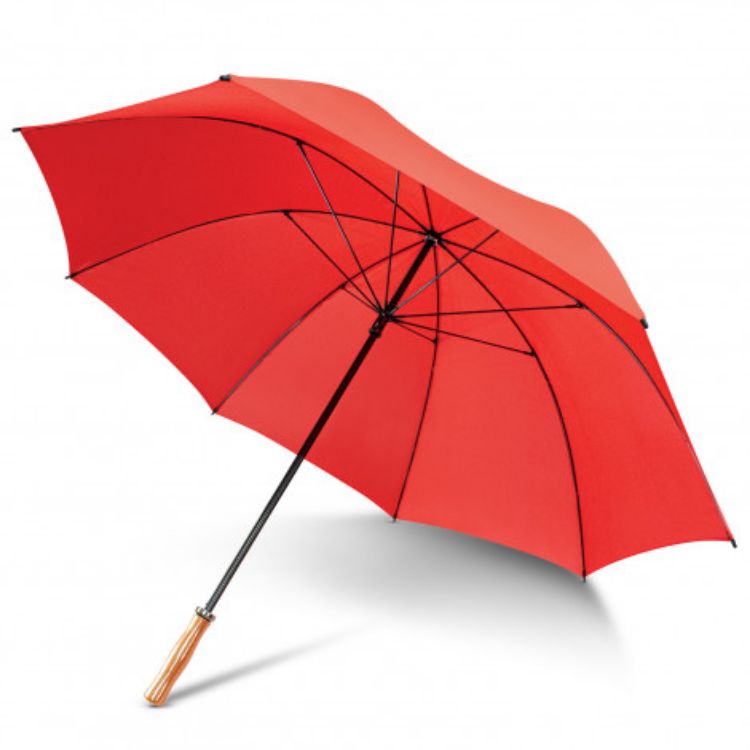 Picture of Pro Umbrella