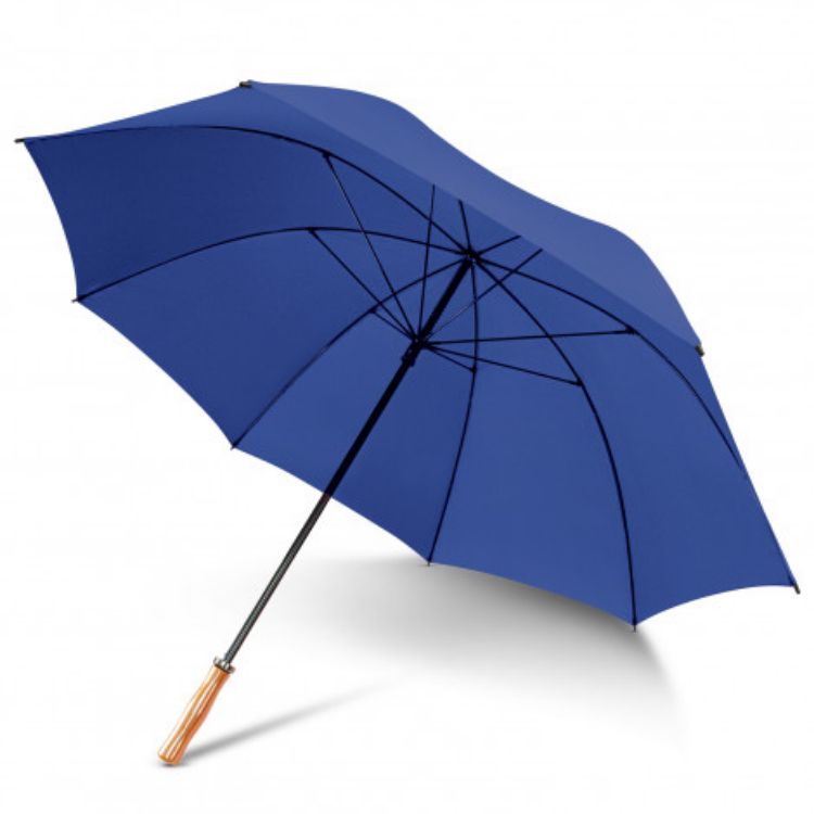 Picture of Pro Umbrella