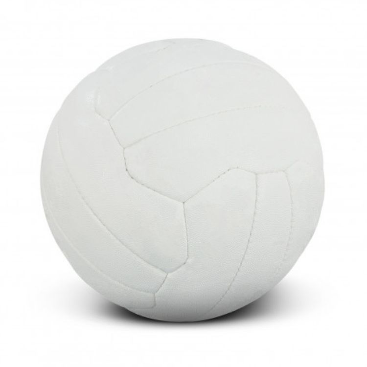 Picture of Netball Pro