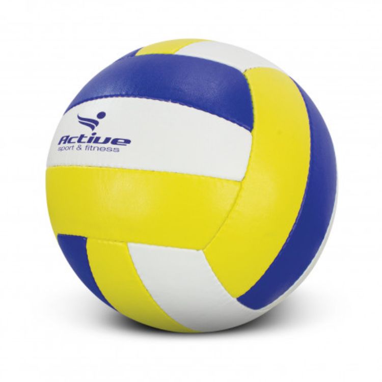 Picture of Volleyball Pro