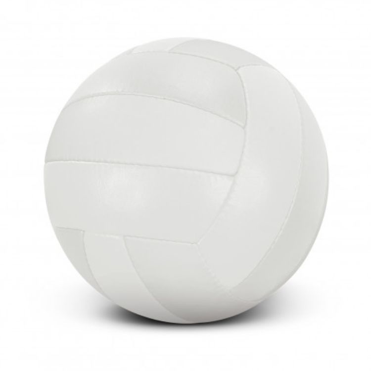 Picture of Volleyball Pro
