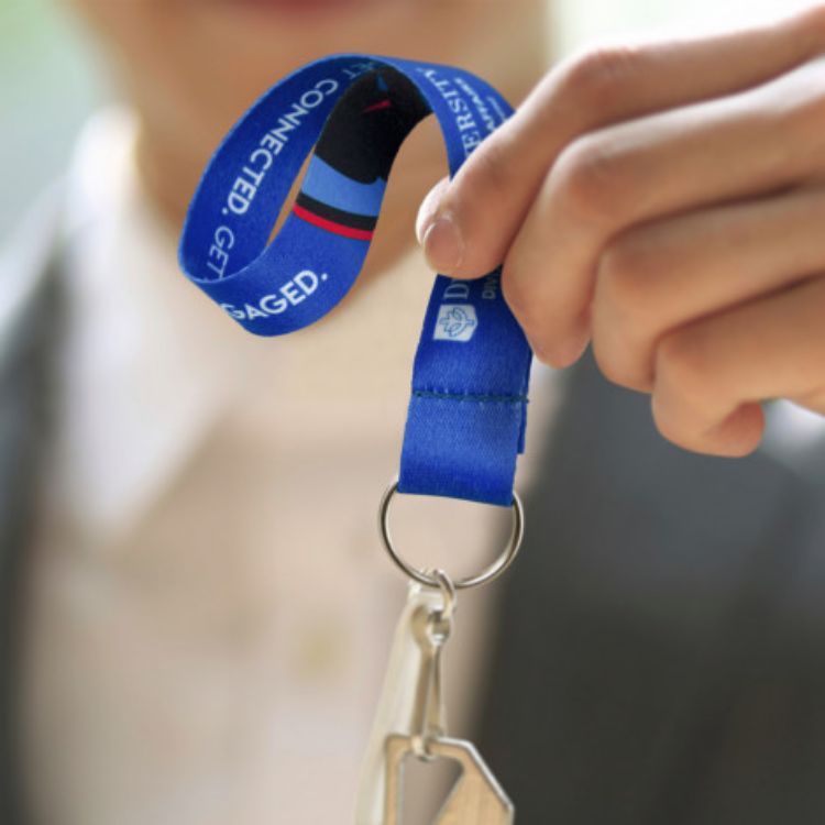 Picture of Colour Max Key Ring