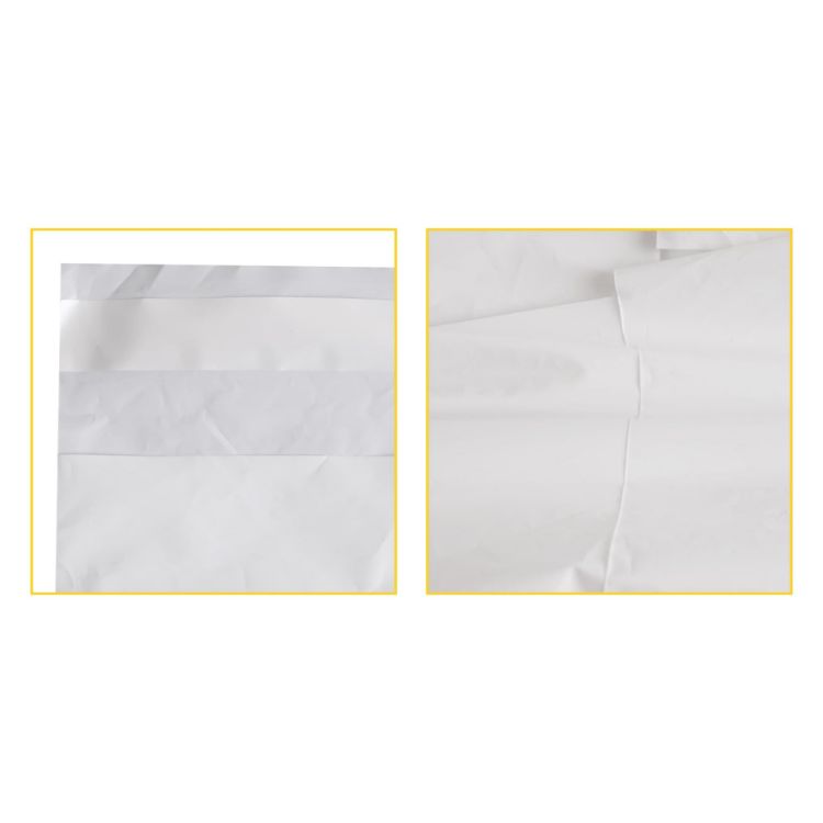 Picture of Biodegradable Mailer Bag (Large)