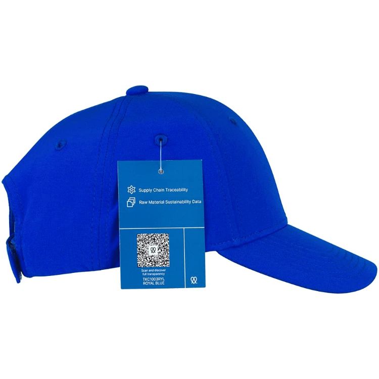 Picture of Falcon Flex Cap