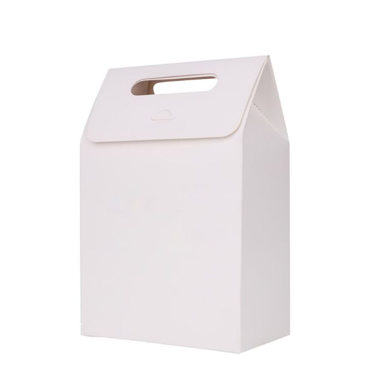 Picture of Die cut Handle Bag(100x160x60mm)
