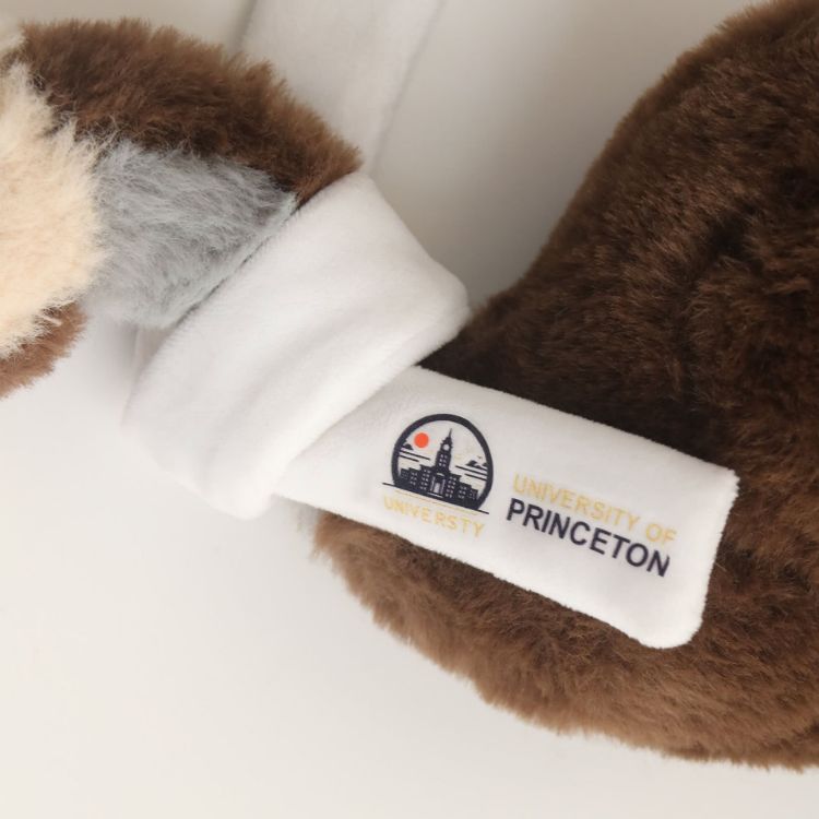 Picture of Custom Emu Plush Toy