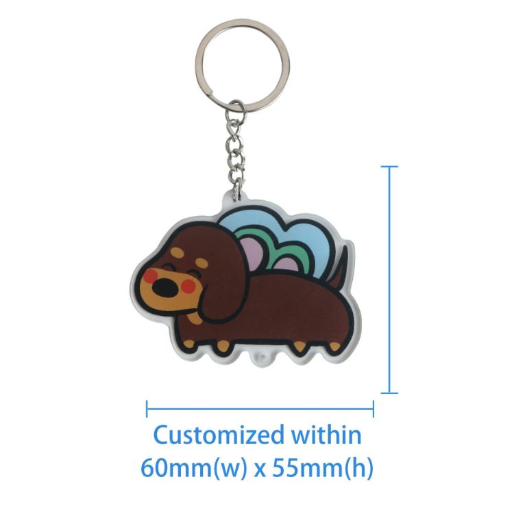 Picture of Custom Shape Acrylic Keyring