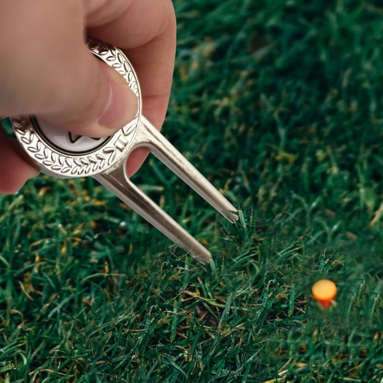 Picture of Custom Golfers Divot with Ball Marker