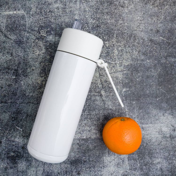 Picture of Zara 600ml Steel Bottle