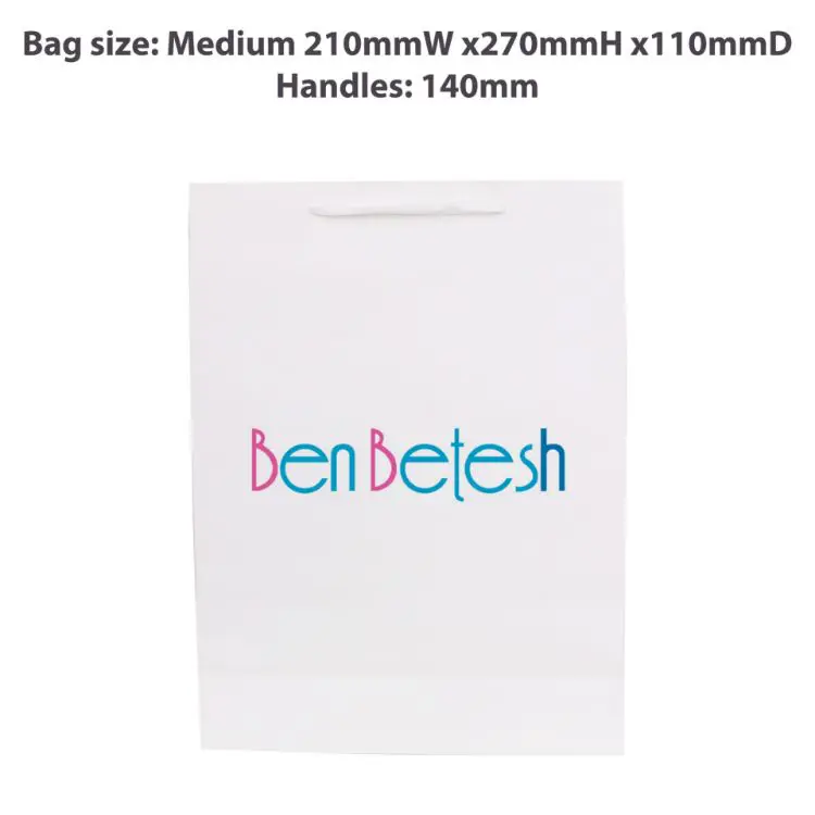 Picture of Medium Vertical Paper Bag with Fabric Flat Handle(210 x 270 x 110mm)