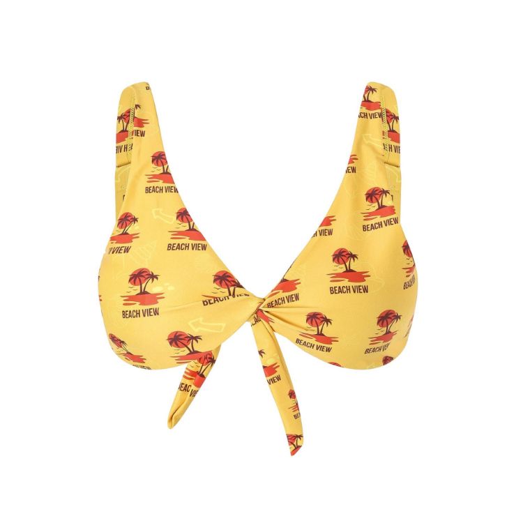 Picture of Women's Polyester Spandex Sublimated Bikini top