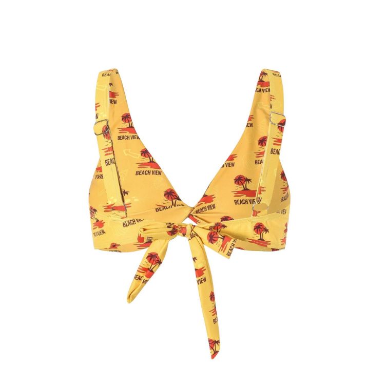 Picture of Women's Polyester Spandex Sublimated Bikini top
