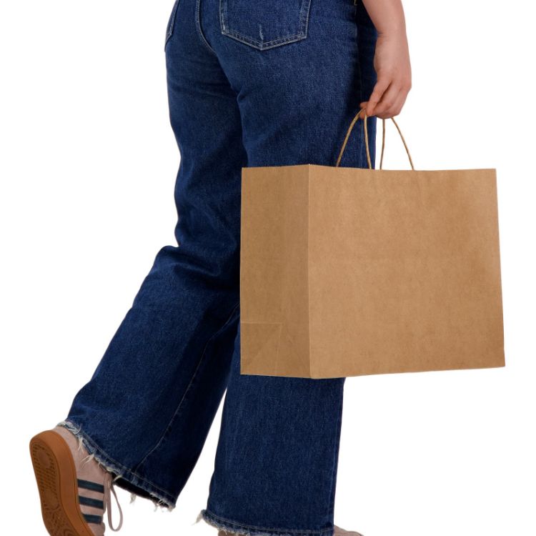 Picture of Express Paper Bag Extra Large