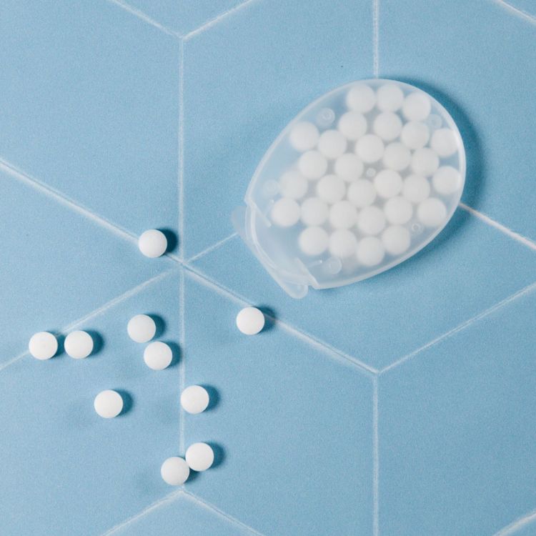 Picture of Egg Shape Sugar Free Breath Mints