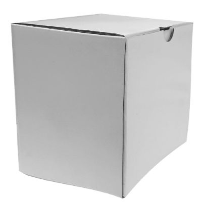 Show details for Pack Single Tall Box - White Picture of Pack Single Tall Box - White