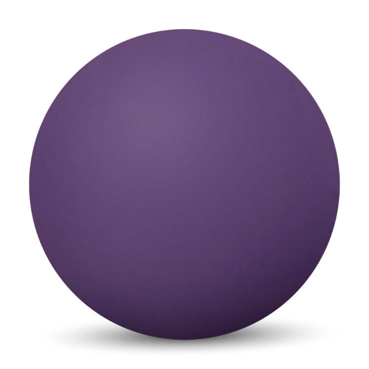 Picture of Fun High Bounce Ball