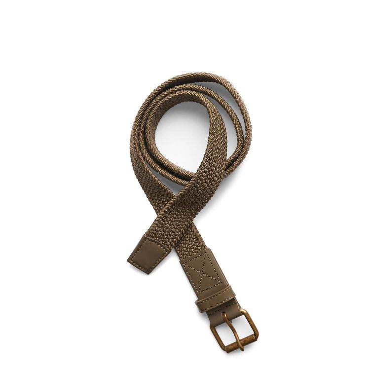 Picture of Mesh Belt