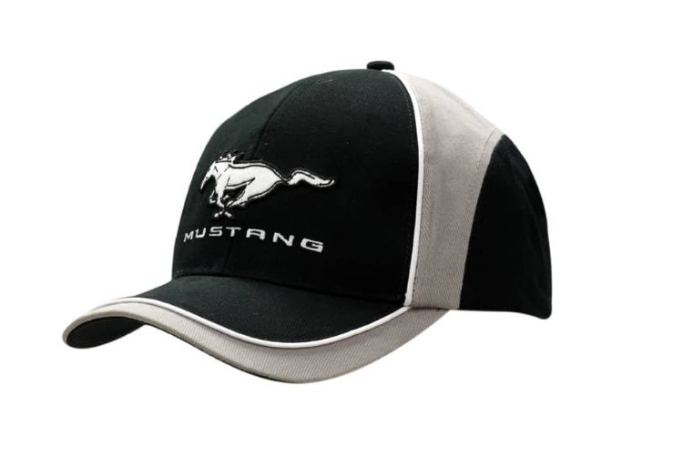 Picture of Brushed Heavy Cotton Cap with Fabric Inserts/Piping on Crown & Peak
