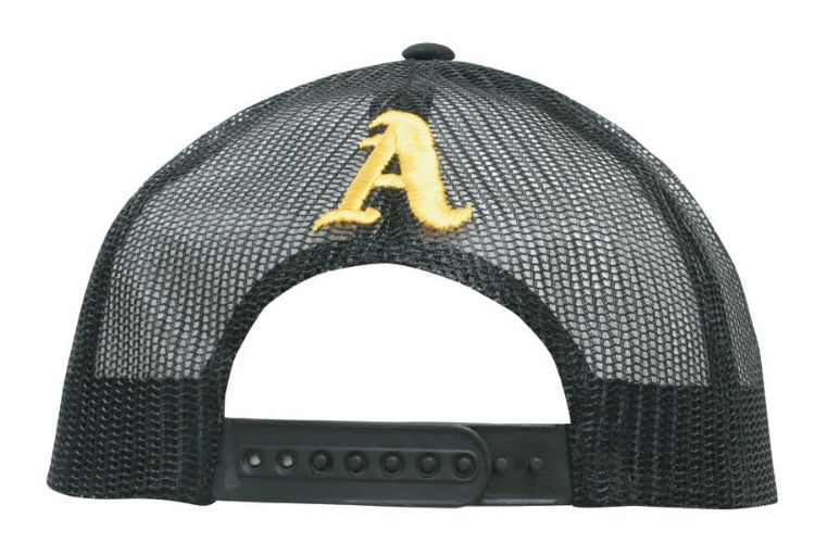 Picture of Truckers Mesh Cap